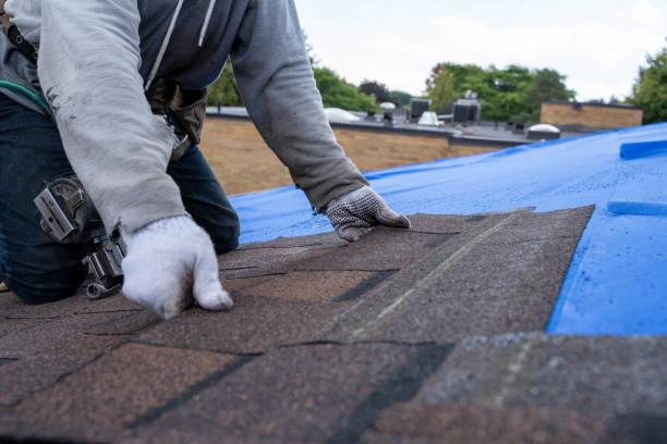 Best Roof Leak Repair  in Christiansburg, VA